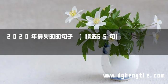 2020年最火的的句子 (精选65句)